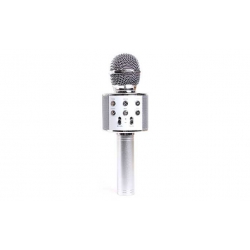WS-858 Karaoké mikrofon Silver