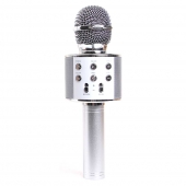 WS-858 Karaoké mikrofon Silver