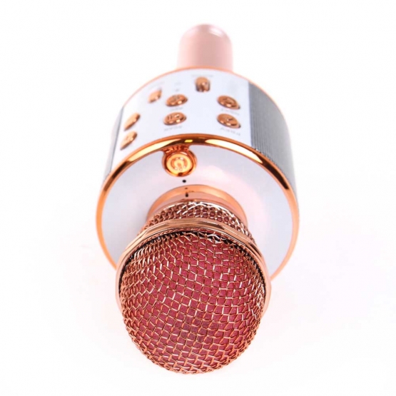 WS-858 Karaoké mikrofon rosegold