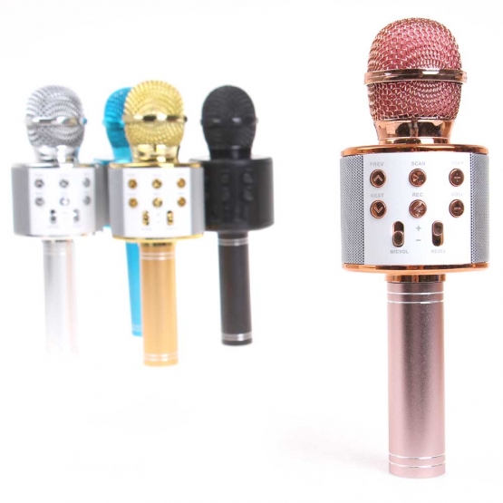 WS-858 Karaoké mikrofon rosegold