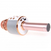 WS-858 Karaoké mikrofon rosegold