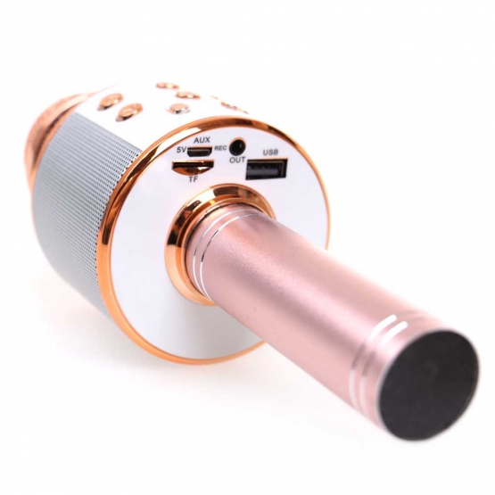 WS-858 Karaoké mikrofon rosegold