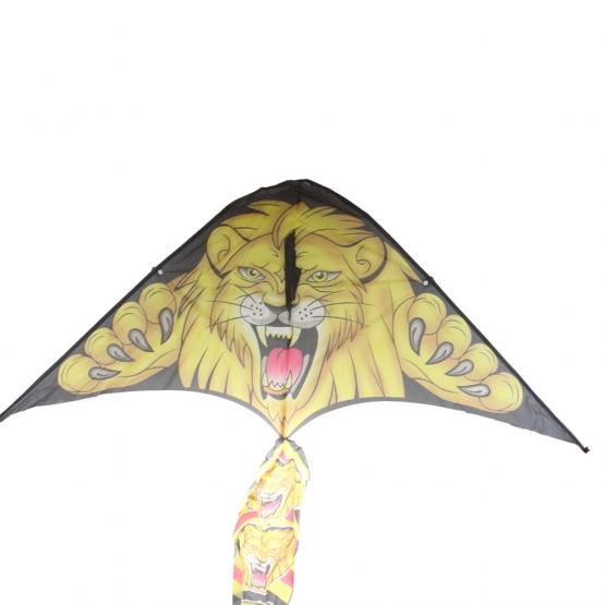 Repülő sárkány var.2