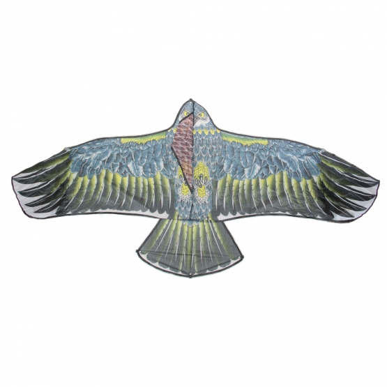 Repülő sárkány, sas, var.4