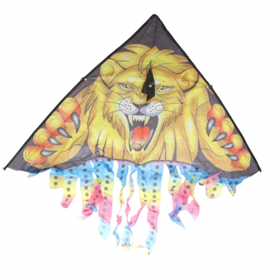 Repülő sárkány var.1