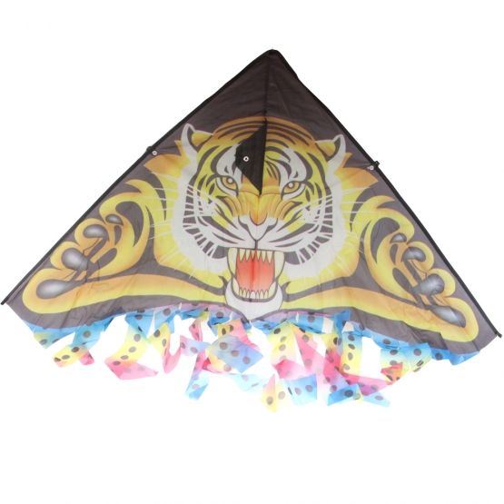 Repülő sárkány var.1