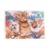 Számok szerinti festés Kiscicák