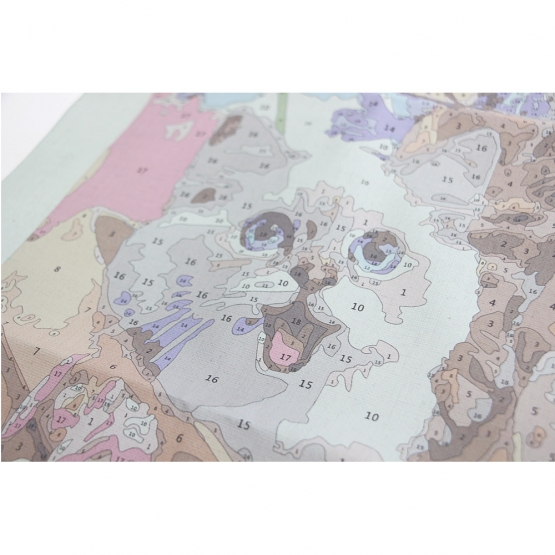 Számok szerinti festés Kiscicák