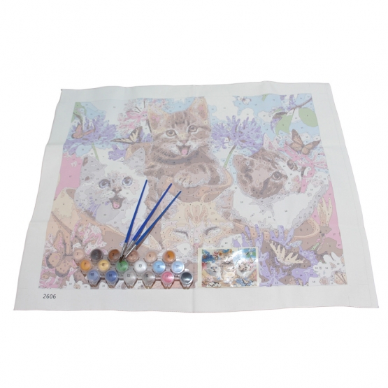 Számok szerinti festés Kiscicák