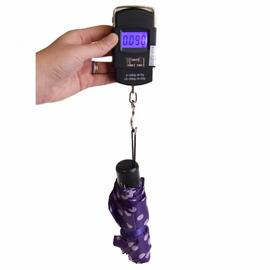 Hordozható elektronikus mérleg