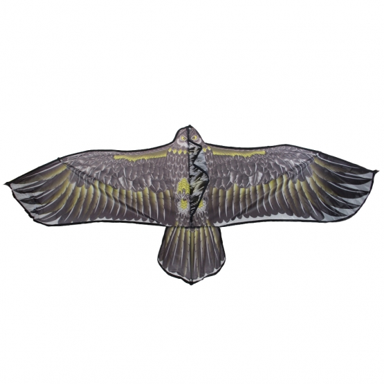 Repülő sárkány, sas, var.2