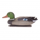 Úszó díszek - gácsér kacsa