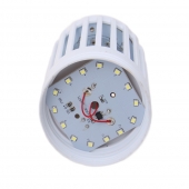 Elektromos izzó rovarfogóval