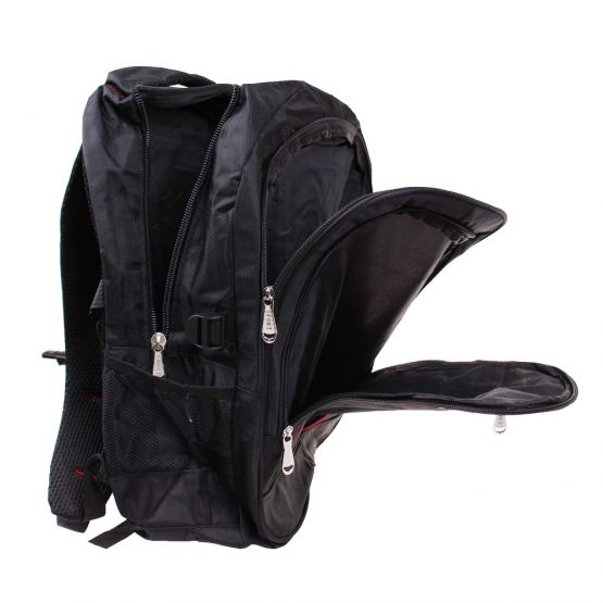 Hátiszák fekete, A típus