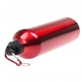 VIZES PALACK KARABINERRER PIROS