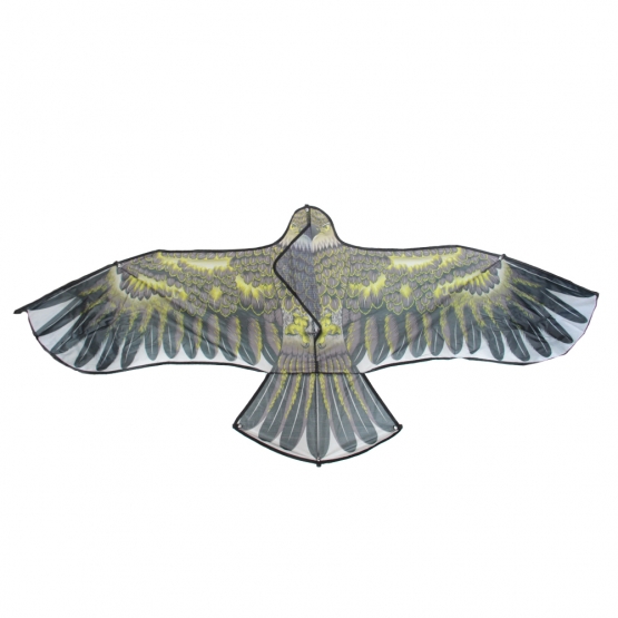 Repülő sárkány, sas, var.3