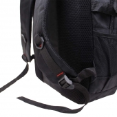 Hátiszák fekete, C típus