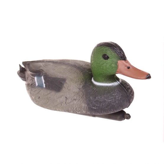 Úszó díszek - gácsér kacsa