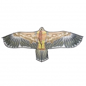 Repülő sárkány, sas, var.2