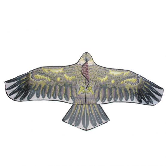 Repülő sárkány, sas, var.4