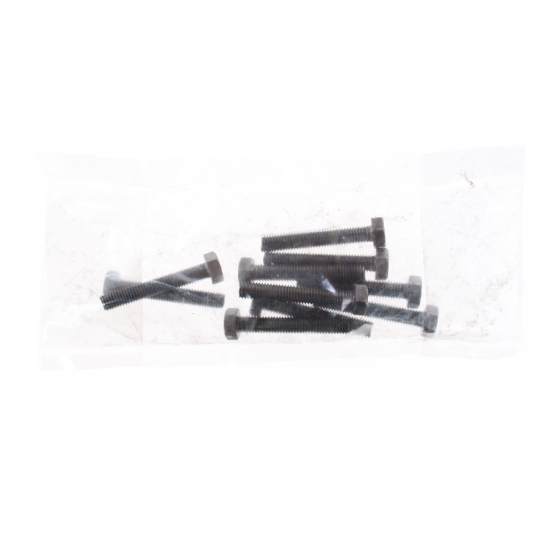 Csavarok hatszögletű fejjel M6x50, 200g